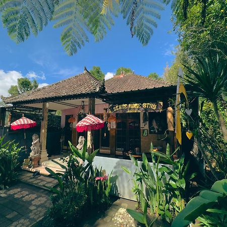 Homestay Sente Munduk Εξωτερικό φωτογραφία