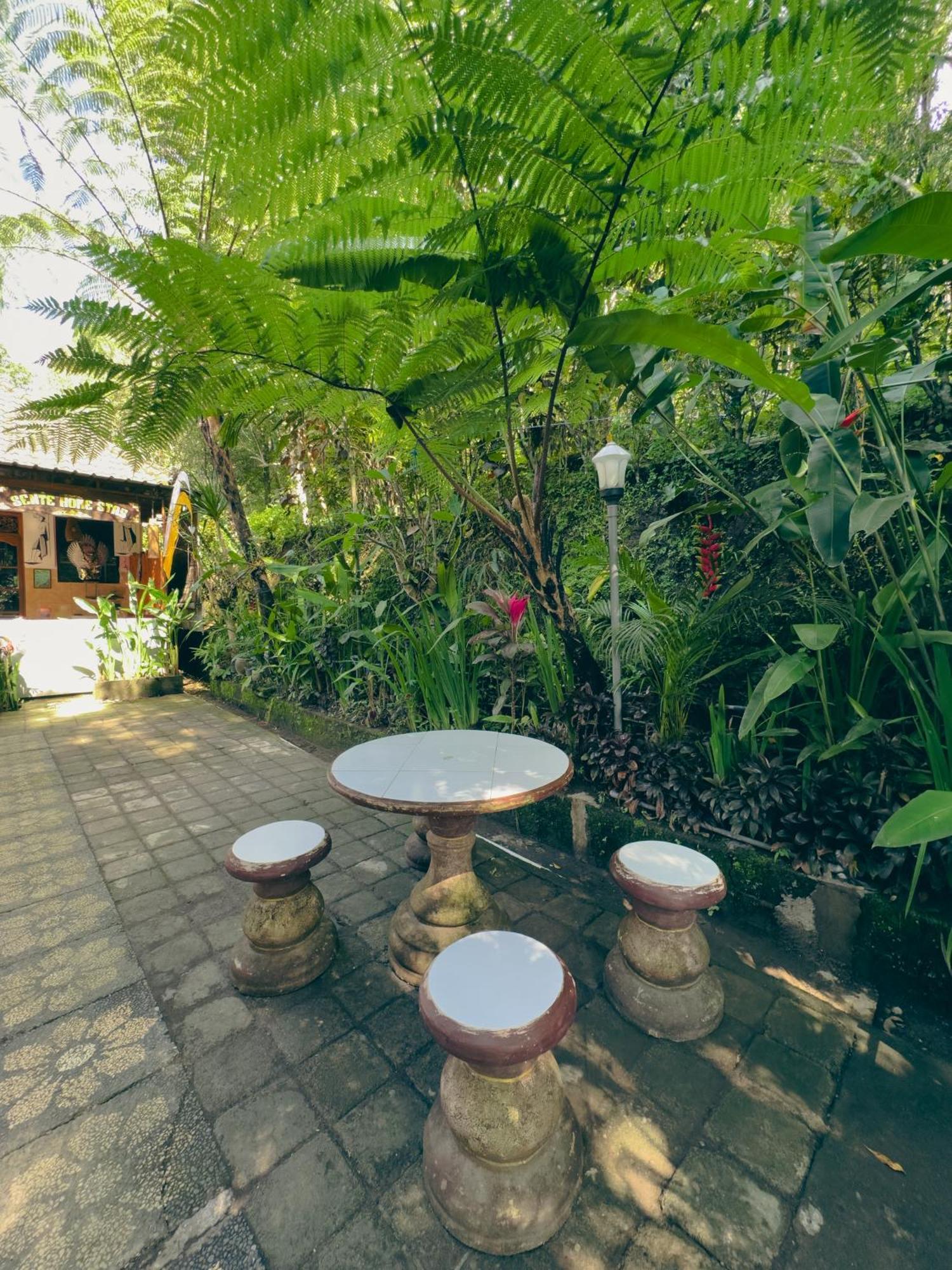 Homestay Sente Munduk Εξωτερικό φωτογραφία