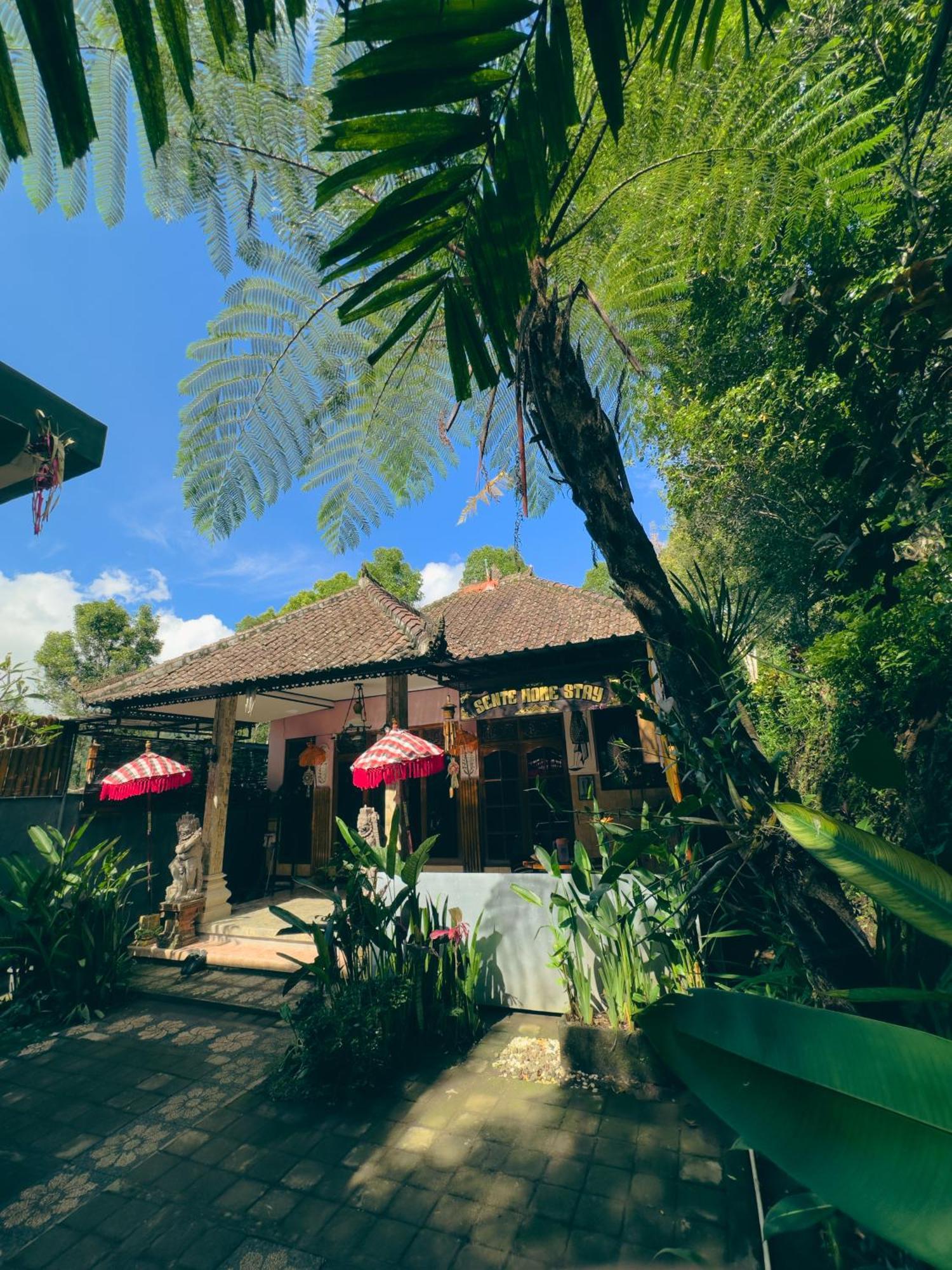 Homestay Sente Munduk Εξωτερικό φωτογραφία